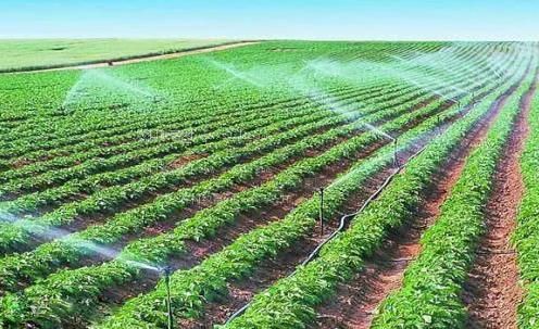 日美女的小逼逼农田高 效节水灌溉